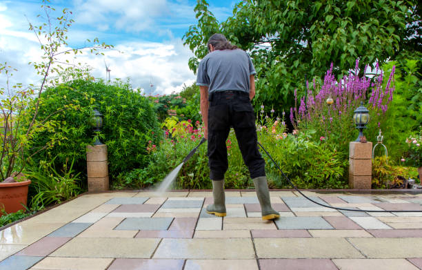 Best Sidewalk and Walkway Cleaning  in Hazelwood, MO